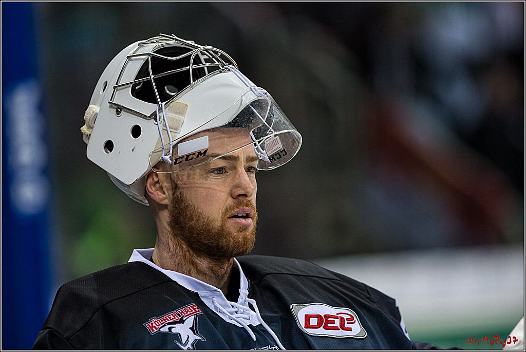 DEL, Koelner Haie - Duesseldorfer EGY, 22.01.2017